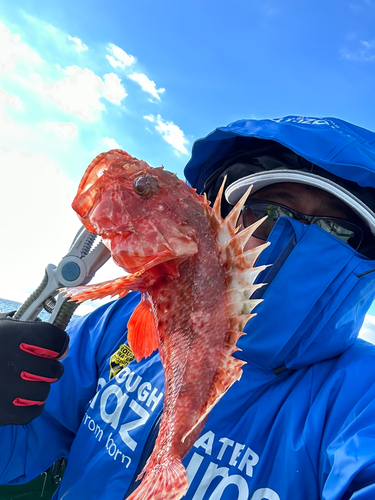 オニカサゴの釣果