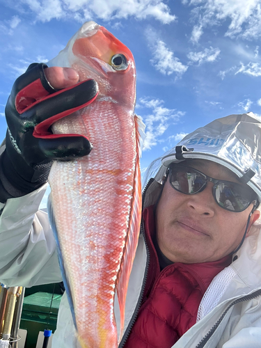 アマダイの釣果