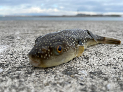 釣果