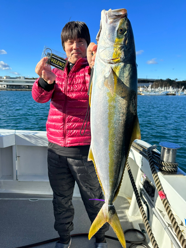 ワラサの釣果