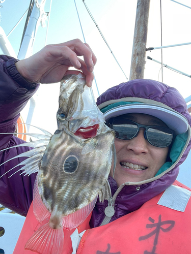 マトウダイの釣果