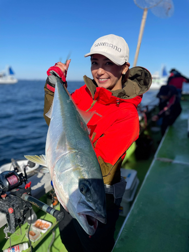 ワラサの釣果