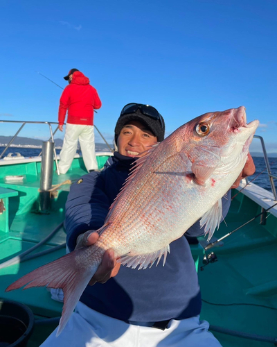 マダイの釣果