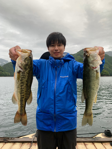 ブラックバスの釣果