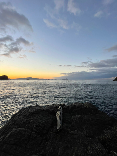 クチブトグレの釣果