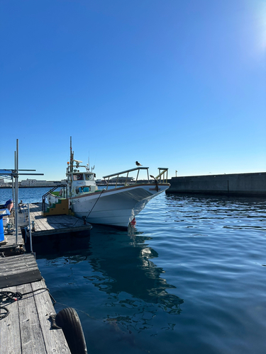 ワラサの釣果