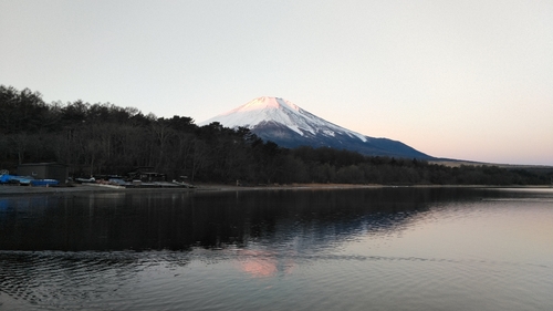 ワカサギの釣果