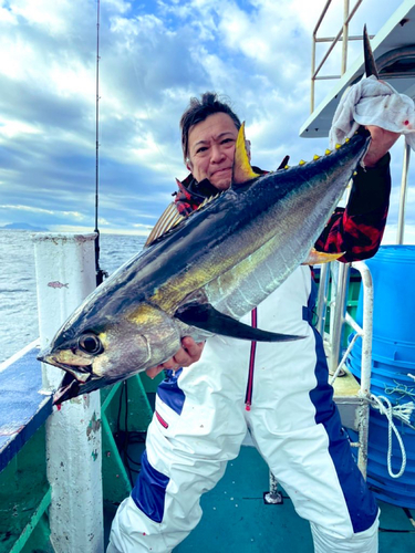 キハダマグロの釣果