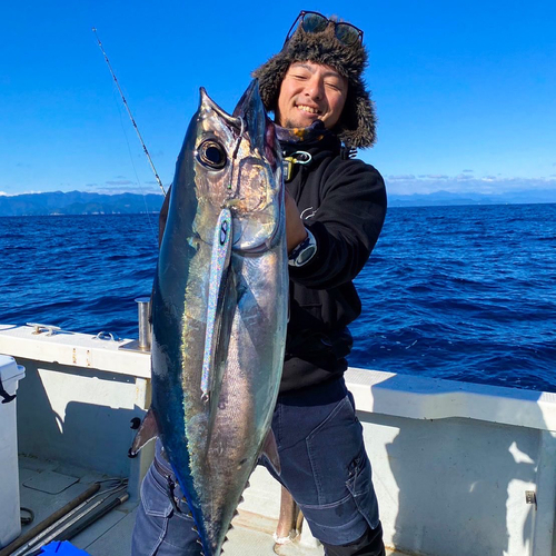 ビンチョウマグロの釣果