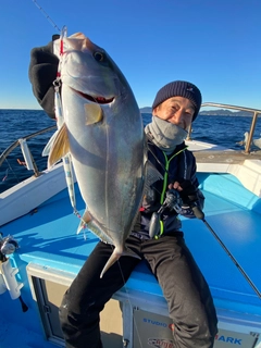 カンパチの釣果