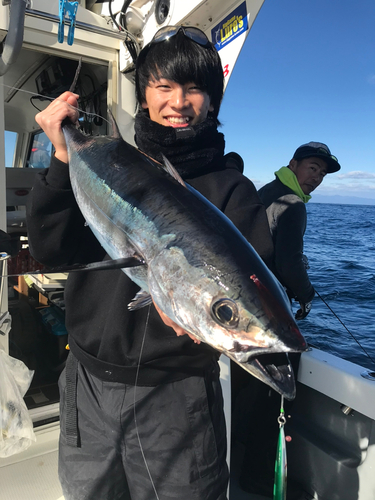 ビンチョウマグロの釣果