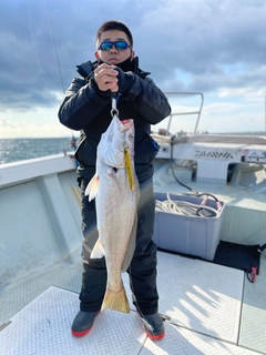 オオニベの釣果