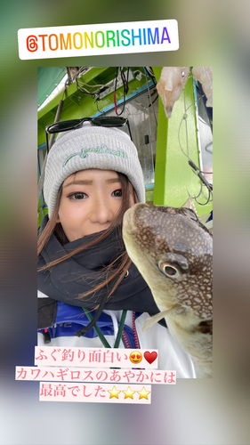 ショウサイフグの釣果