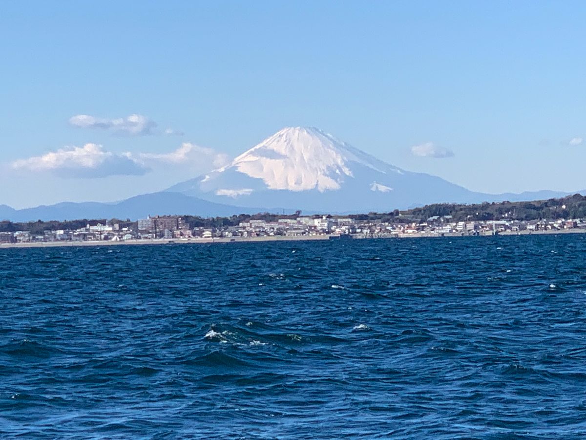真鯛28号船さんの釣果 3枚目の画像