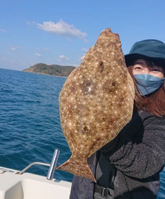 ヒラメの釣果