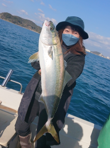 ヤズの釣果