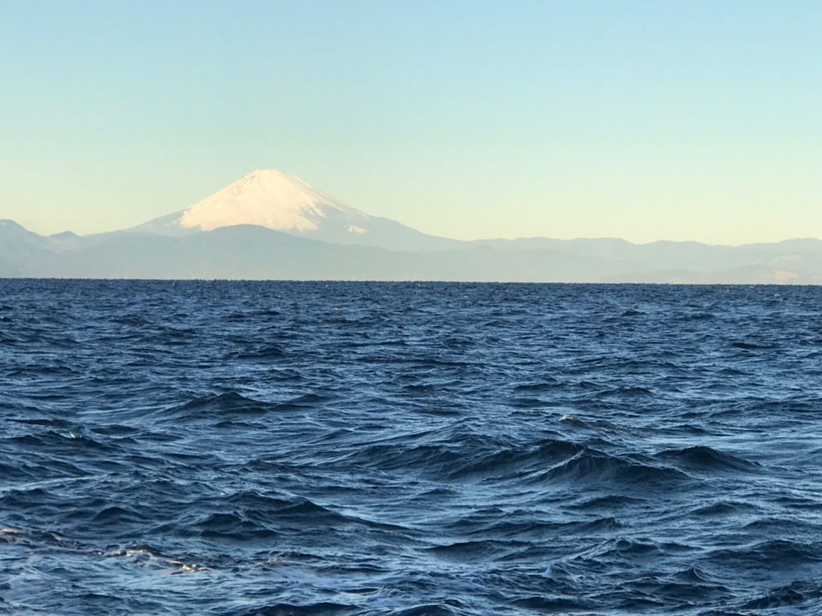 釣りキッチさんの釣果 3枚目の画像