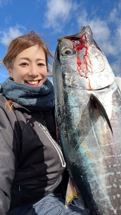 クロマグロの釣果