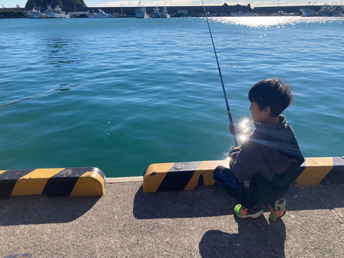 イシモチの釣果