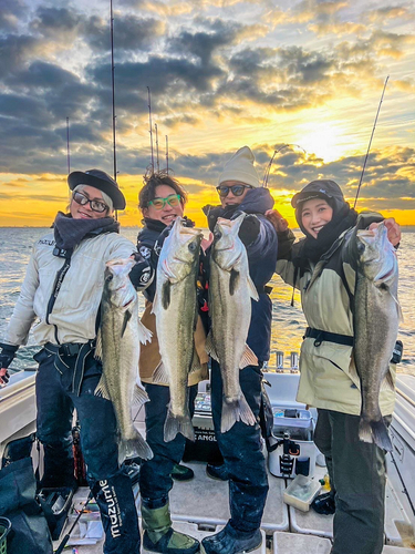 シーバスの釣果