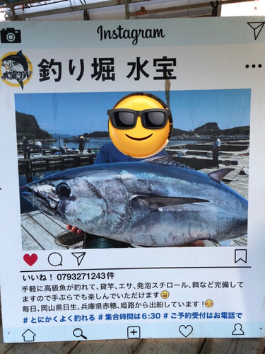 タイの釣果