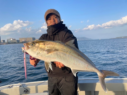 カンパチの釣果