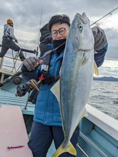 ハマチの釣果