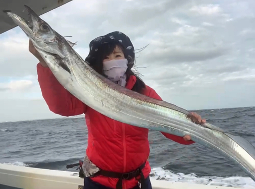 タチウオの釣果