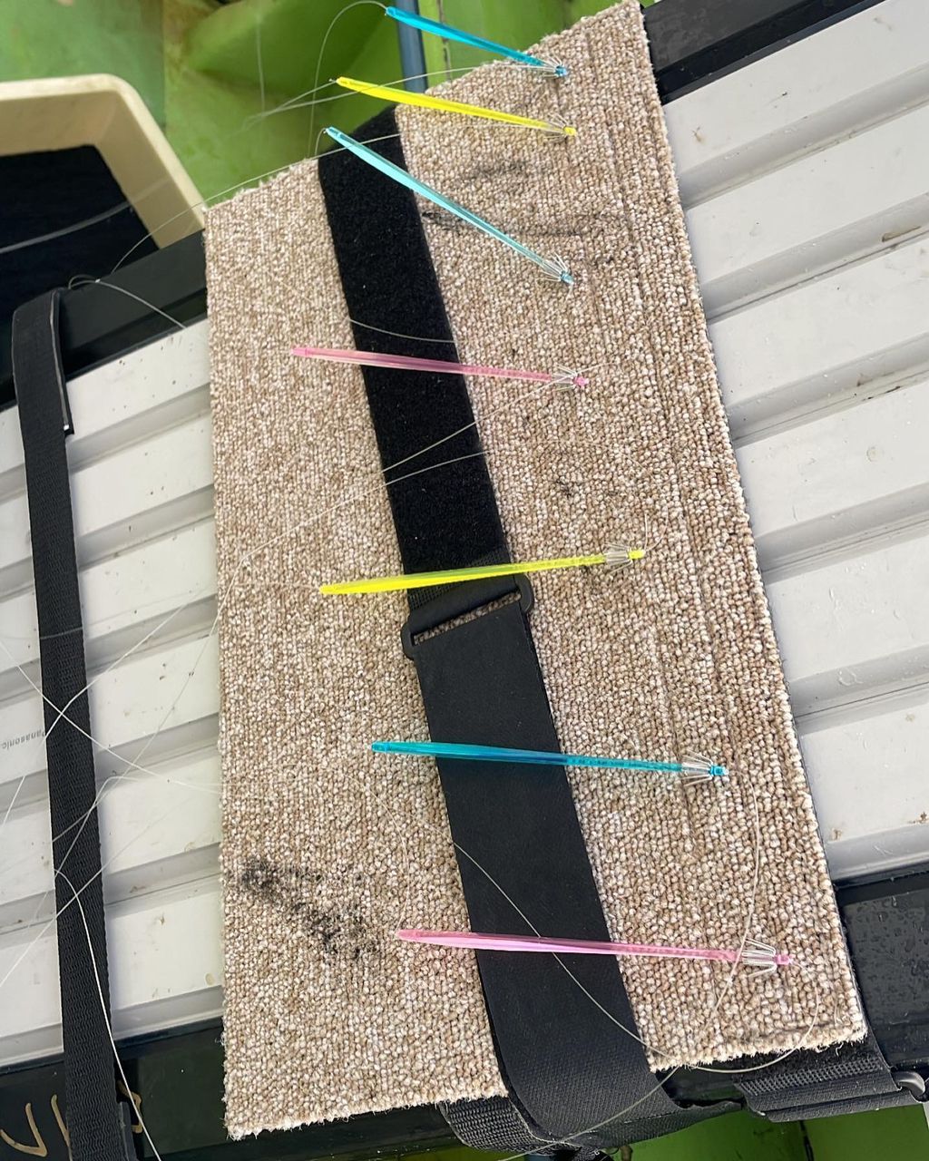 群馬の海人さんの釣果 2枚目の画像