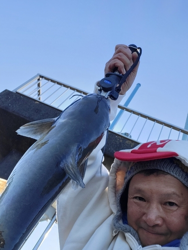 アメリカナマズの釣果