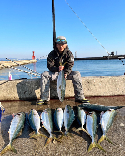 ワラサの釣果