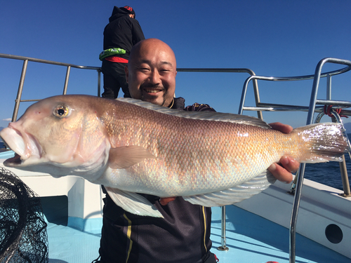 シロアマダイの釣果