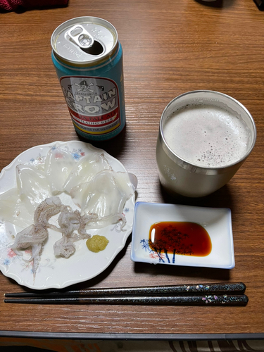 ヒイカの釣果