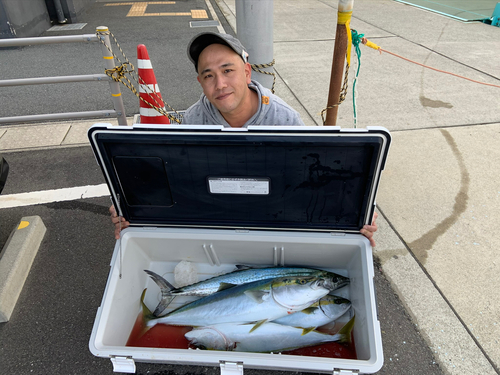 サワラの釣果