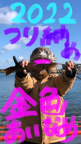 アイナメの釣果