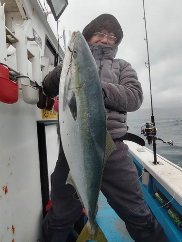 ブリの釣果