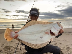 ヒラメの釣果