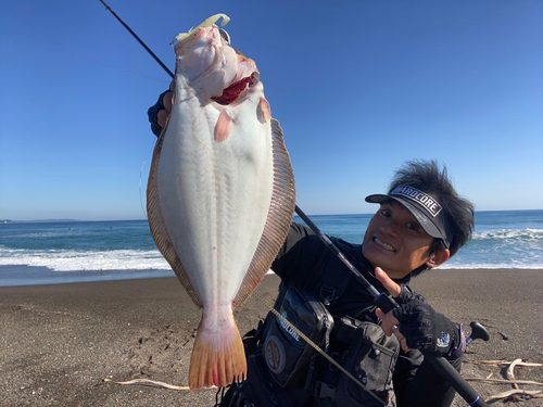 ヒラメの釣果