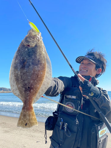 ヒラメの釣果