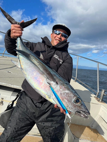 ビンチョウマグロの釣果