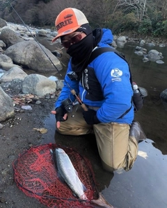 ニジマスの釣果