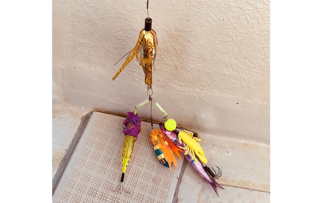 fellows_s16さんの釣果 3枚目の画像