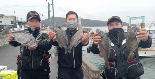 チヌの釣果