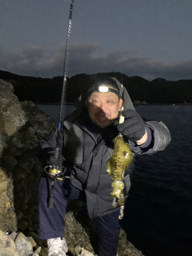 イカの釣果