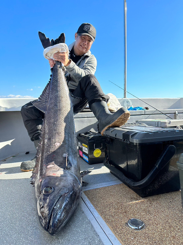 バラムツの釣果