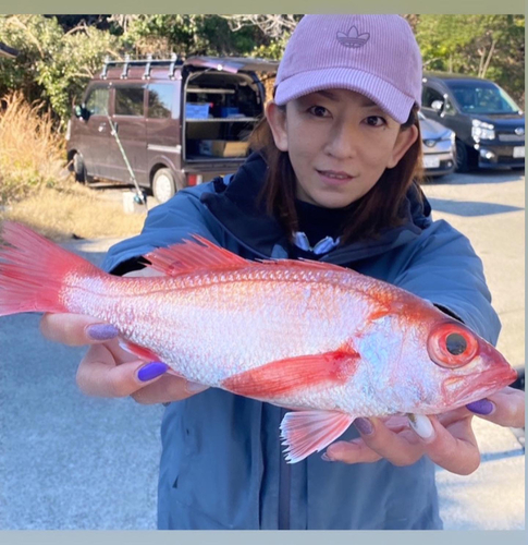 アカムツの釣果