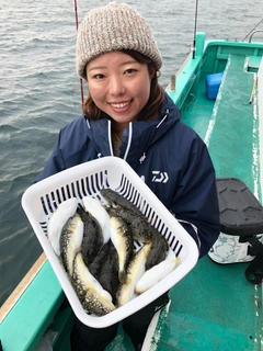 ショウサイフグの釣果