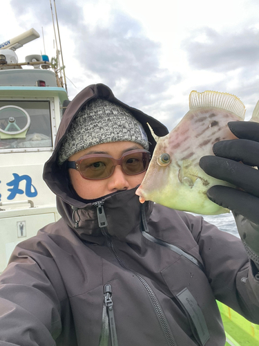 カワハギの釣果