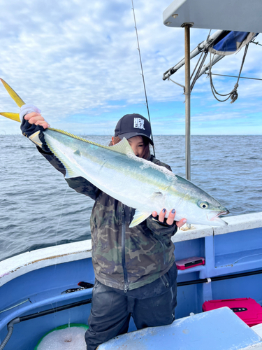 ブリの釣果