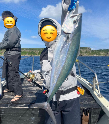 イソマグロの釣果